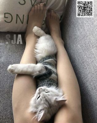 木匠奇事电视剧在线观看免费高清_4K在线视频播放