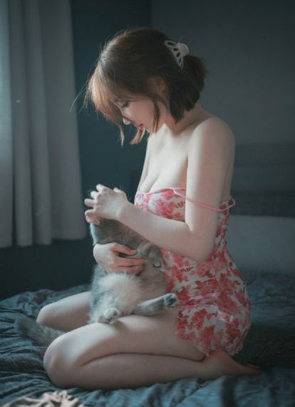 汪汪队威力狗免费全集_BD国语在线播放