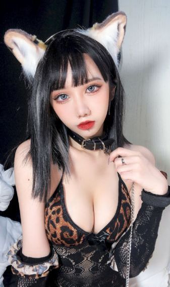 披荆斩棘第4季完整版免费观看_BD国语完整视频观看