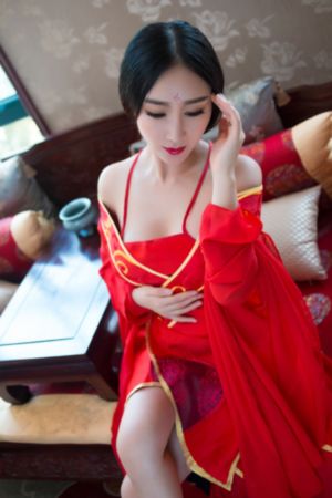 掌门女婿 电视剧_BD高清完整版