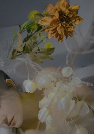 《不能说的秘密》电影免费看_不卡在线观看